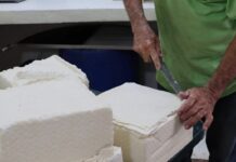 Inundaciones en los Llanos ponen en riesgo el abastecimiento de queso y leche en el país