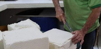 Inundaciones en los Llanos ponen en riesgo el abastecimiento de queso y leche en el país