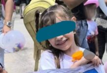 Murió niña de cinco años arrollada por buseta