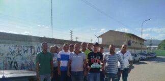 Conductores de carritos por puestos de Cruz Verde renuncian a la línea por atropellos del IMTT