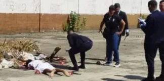 Hallan dos hombres muertos con impactos de bala