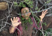 Inmigrante intentó enterrarse para escapar de la patrulla fronteriza Inmigrante intentó enterrarse para escapar de la patrulla fronteriza