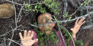 Inmigrante intentó enterrarse para escapar de la patrulla fronteriza Inmigrante intentó enterrarse para escapar de la patrulla fronteriza