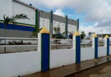 Arrollada mujer en Barrio Blanco de Pueblo Nuevo