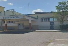 Arrollado joven en Puerta Maraven