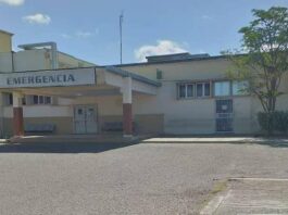 Arrollado joven en Puerta Maraven