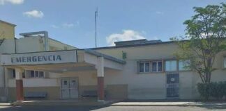 Arrollado joven en Puerta Maraven