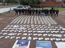 Cicpc incauta más de 300 kilos de droga y explosivos en operativo