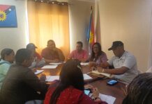 Comisiones de Salud y Desarrollo Social se activan en apoyo a planes de gobierno