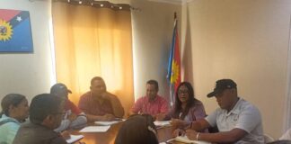 Comisiones de Salud y Desarrollo Social se activan en apoyo a planes de gobierno