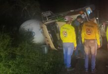 Gandola volcó en el Pilancon