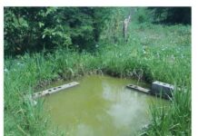 Niño de un año se ahogó en un estanque en Mirimire