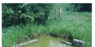 Niño de un año se ahogó en un estanque en Mirimire