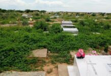 Cementerio de El Matacan en Punto Fijo «sumergido» en una selva