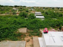 Cementerio de El Matacan en Punto Fijo «sumergido» en una selva