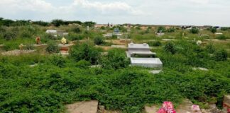 Cementerio de El Matacan en Punto Fijo «sumergido» en una selva