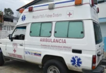 Mérida | Hombre murió aplastado por el árbol que talaba Mérida | Hombre murió aplastado por el árbol que talaba