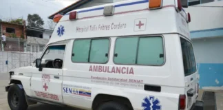 Mérida | Hombre murió aplastado por el árbol que talaba Mérida | Hombre murió aplastado por el árbol que talaba