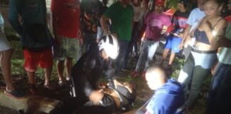 Motorizado sufre politraumatismos durante accidente en Tucacas