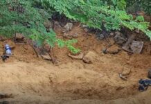 Capturados «el Pitufo», «Gere» y «Kiki» por el asesinato del zuliano enterrado en Coro