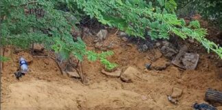 Capturados «el Pitufo», «Gere» y «Kiki» por el asesinato del zuliano  enterrado en Coro