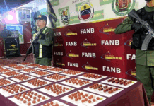 Táchira: FANB detecta 559 envoltorios de cocaína en empresa de envíos