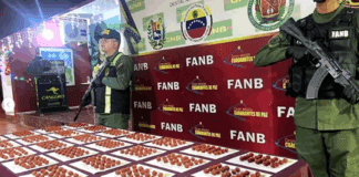 Táchira: FANB detecta 559 envoltorios de cocaína en empresa de envíos