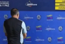 PNB | Preso falso veterinario, murió mascota durante cirugía