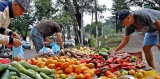 Fedeagro: Consumo de hortalizas en Venezuela cayó 60 %