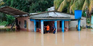 Lluvias en Barinitas dejan cientos de casas inundadas
