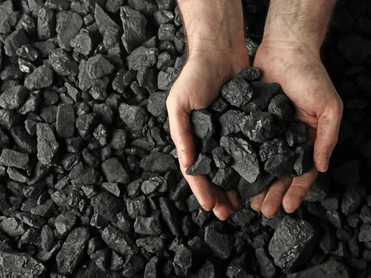 Pese a cuestionamientos ambientales, Venezuela retoma la exportación de carbón como alternativa económica