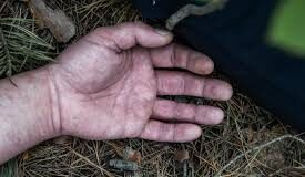 República Dominicana | Hallan cadáver descuartizado de una mujer República Dominicana | Hallan cadáver descuartizado de una mujer