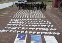 Cicpc incautó 284 panelas de droga y artefactos explosivos