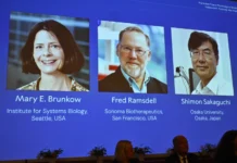 Estos tres científicos ganaron el Nobel de Medicina Estos tres científicos ganaron el Nobel de Medicina