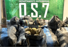 Detienen a un venezolano en Chile con más de 300 kilos de marihuana