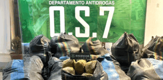Detienen a un venezolano en Chile con más de 300 kilos de marihuana