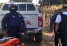 Abatidos entre Guárico y Aragua pertenecen al Tren del llano