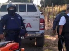 Abatidos entre Guárico y Aragua pertenecen al Tren del llano