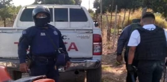 Abatidos entre Guárico y Aragua pertenecen al Tren del llano