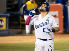 Así van los equipos de la LVBP Así está la tabla de posiciones de la LVBP