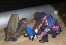 Arrollado septuagenario en la Curva de Sabino