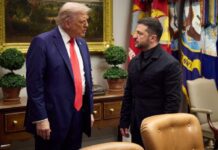 Axios: Zelenski quiere reunirse con Trump para concretar su plan de paz Axios: Zelenski quiere reunirse con Trump para concretar su plan de paz