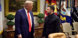 Axios: Zelenski quiere reunirse con Trump para concretar su plan de paz Axios: Zelenski quiere reunirse con Trump para concretar su plan de paz