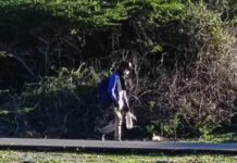 Habitantes de Azaro y Buenevara perturbados por presencia de un desconocido con extrañas actitudes