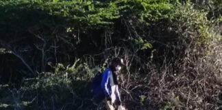 Habitantes de Azaro y Buenevara perturbados por presencia de un desconocido con extrañas actitudes