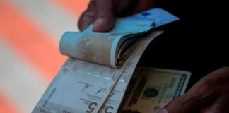 Activan bonificación especial para adultos mayores este 11 de noviembre