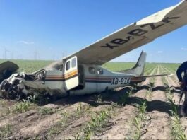 Dos detenidos|Cae avioneta con cargamento ilegal