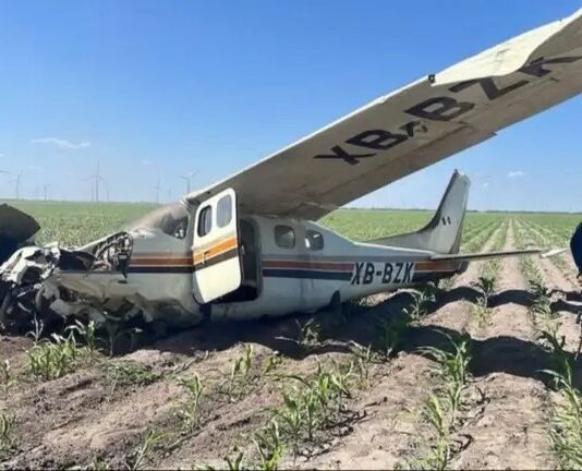 Dos detenidos|Cae avioneta con cargamento ilegal