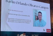 Científico venezolano Barlin Olivares, entre los investigadores más influyentes del mundo Científico venezolano Barlin Olivares, entre los investigadores más influyentes del mundo