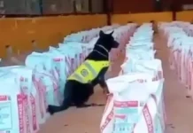 Colombia incautó 14 toneladas de cocaína Colombia incautó 14 toneladas de cocaína